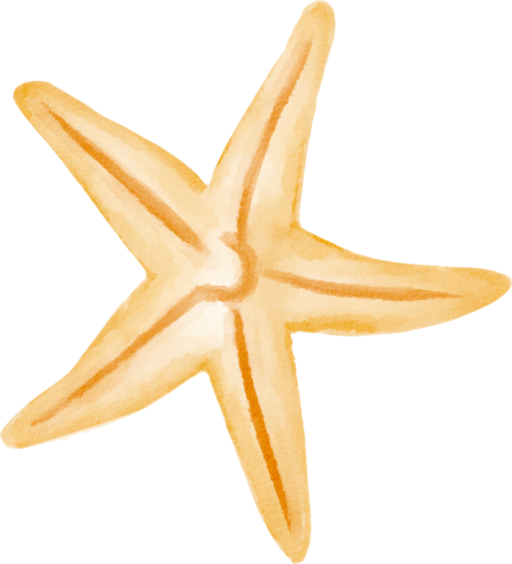 starfish watercolor